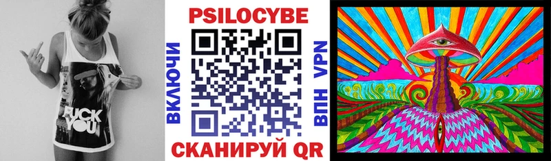купить  цена  Лениногорск  Галлюциногенные грибы GOLDEN TEACHER 