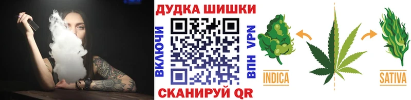 Бошки марихуана конопля  shop официальный сайт  Лениногорск  где купить  